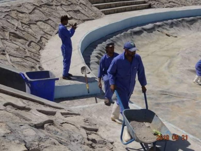 مشروع تأهيل العيون في بلدية عين التمر.