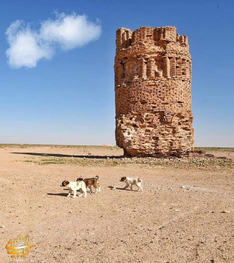 منارة موجدة.. يعد اثراً شامخاً في صحراء كربلاء الغربية ومركز اً للدلالة