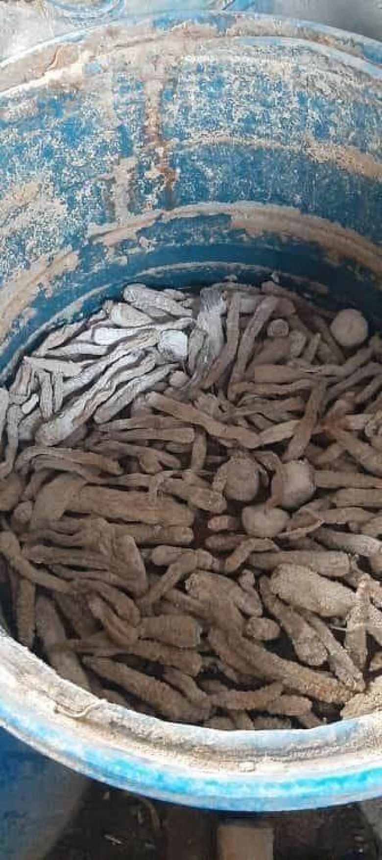 صحة كربلاء تضبط معملا متخفيا واغذية غير صالحة للاستهلاك البشري