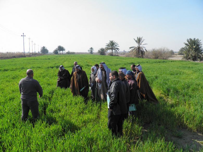 زراعة كربلاء تضع خطة لاقامة (9) مشاهدات حقلية للخطة الزراعية الشتوية لمحصول الحنطة