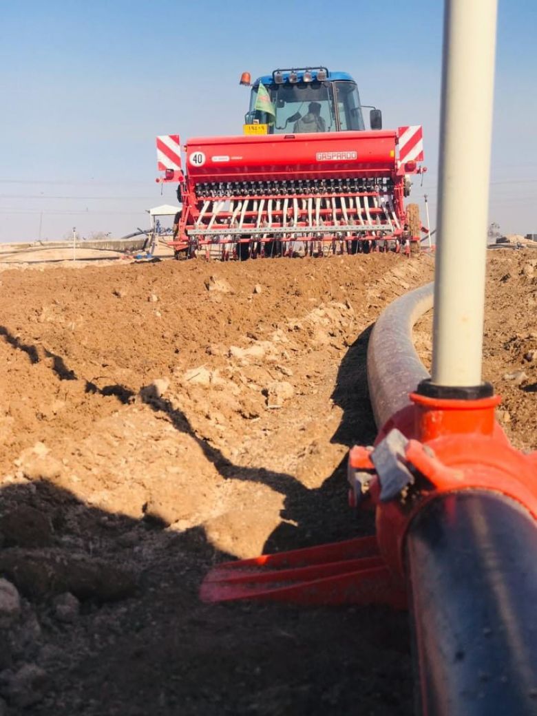 زراعة كربلاء تشرع بحملة أبحاث لزراعة أكثر من ٢٠ صنف محلي من الحنطة في كربلاء