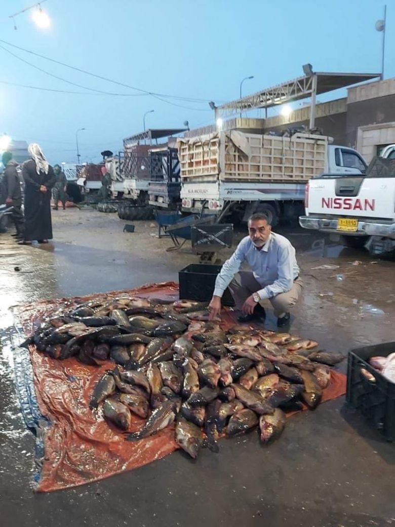 زراعة كربلاء تتابع اسعار بيع الاسماك في الاسواق المحلية