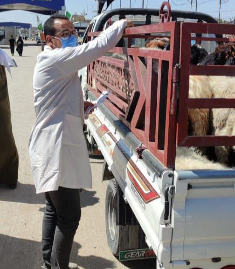 المستشفى البيطري في كربلاء يواصل  استعداداته الوقائية ضد فيروس الحمى النزفية بالتعاون مع الدوائر الساندة