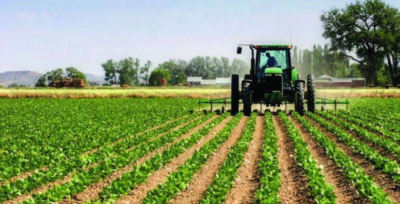 كربلاء تشهد طفرة نوعية في المجال الزراعي وتعلن عن استثمار الأراضي الصحراوية في الزراعة