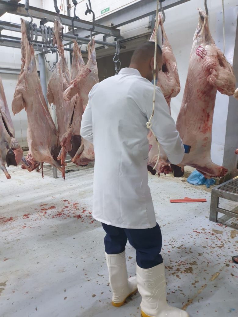 للوقاية من الحمى النزفية.. استمرار الحملات الرقابية لجميع المجازر ومحال بيع اللحوم في كربلاء