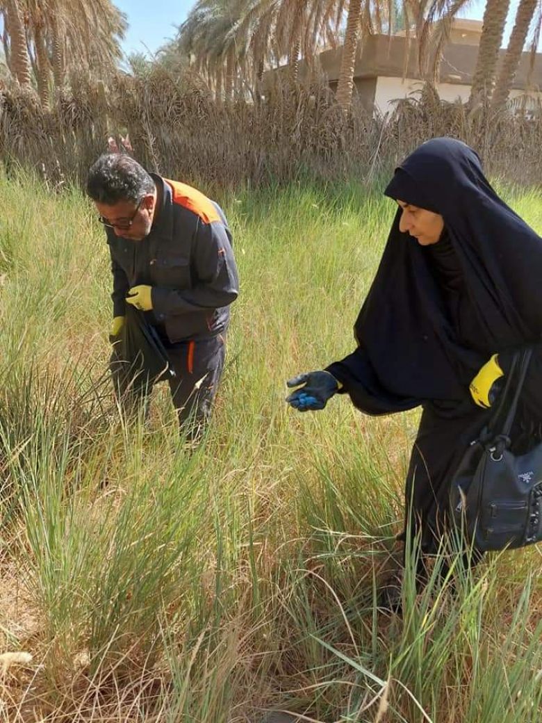 زراعة كربلاء تطلق حملة مجانية لمكافحة القوارض في البساتين والحقول الزراعية