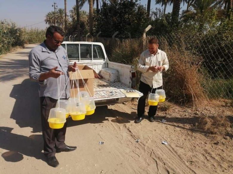 تخصيص مئات الأطنان من بذور الحنطة لمزارعي كربلاء المقدسة