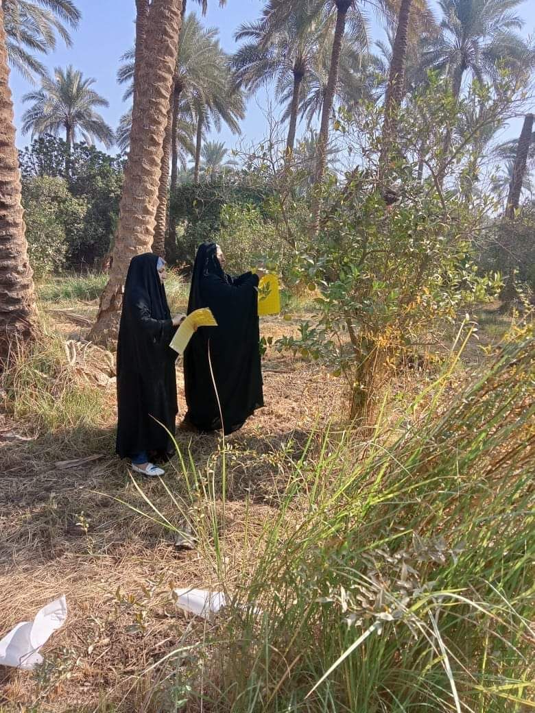 زراعة كربلاء تواصل حملاتها لمكافحة ذبابتي الخوخ وذبابة الياسمين البيضاء