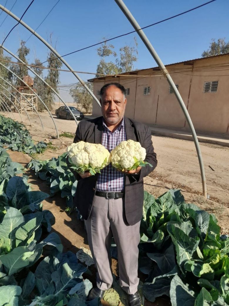 زراعة كربلاء تنجح بتفعيل تجربة بحثية انتاجية بالمناطق الصحراوية في المحافظة