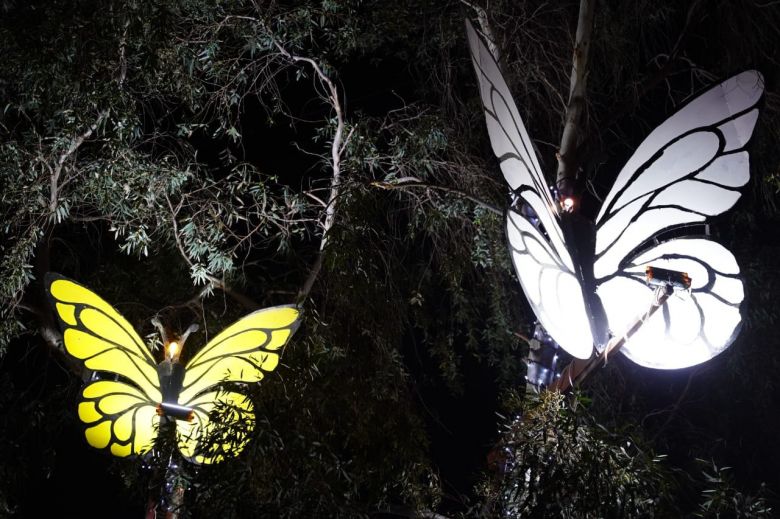 الورود الطبيعية تعبق في كربلاء ونُصب 