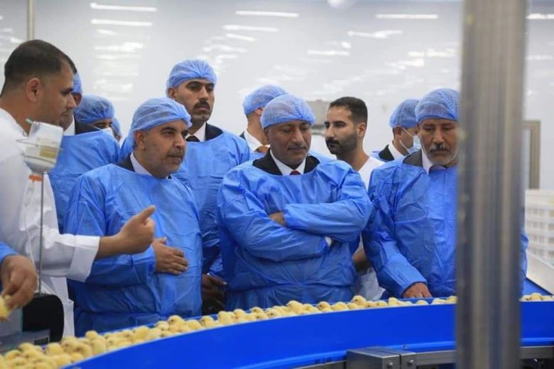 بجهود من محافظها.. ازدياد معدلات إنتاج بيض المائدة وفروج اللحم في كربلاء