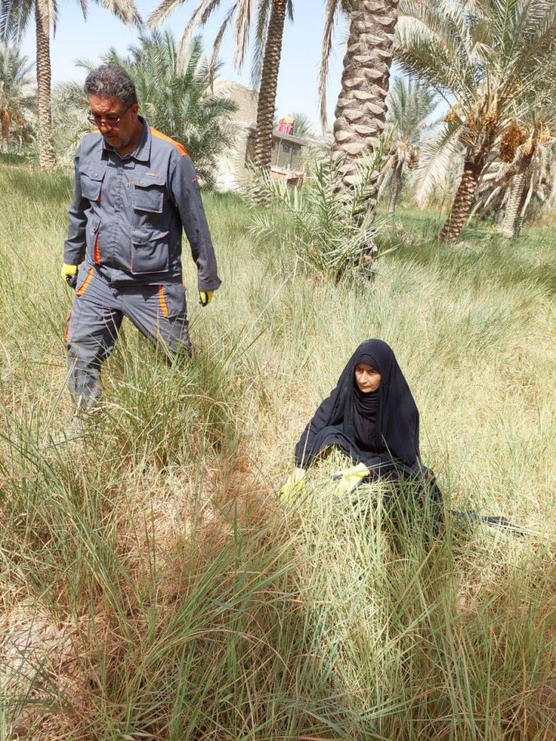 زراعة كربلاء تختتم حملة لمكافحة القوارض الزراعية  ضمن بساتين و حقول المحافظة