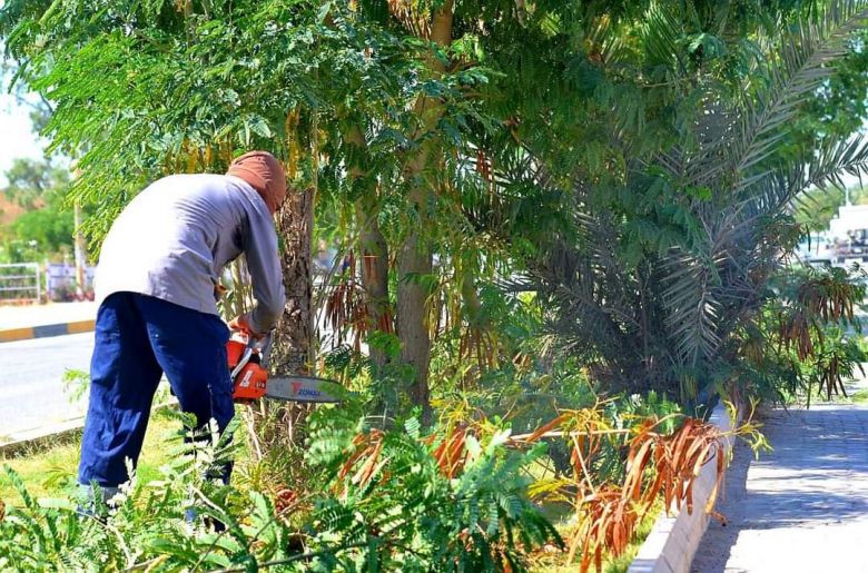 بالصور.. بلدية الحسينية تُعنى بالحدائق العامة