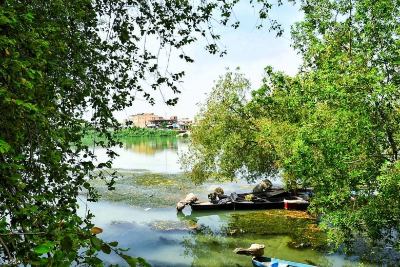 بالصور.. صباحيات كربلائية