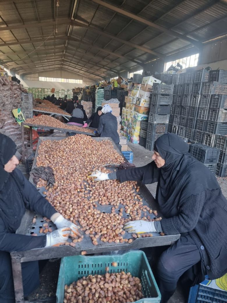 القطاع الخاص شريكاً أساسياً في تطور الاقتصاد الوطني