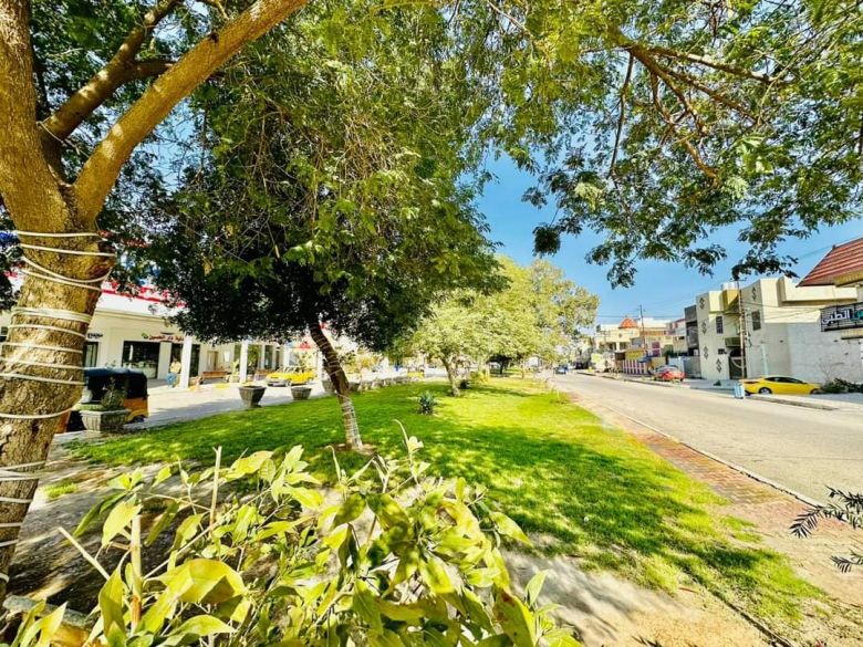 بالتزامن مع يوم التشجير الوطني.. بلدية كربلاء تواصل حملاتها بزيادة المساحات الخضراء في المحافظة