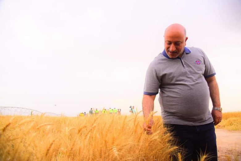 محافظ كربلاء يعلن بدء موسم الحصاد والتسويق لمحصول الحنطة في المحافظة