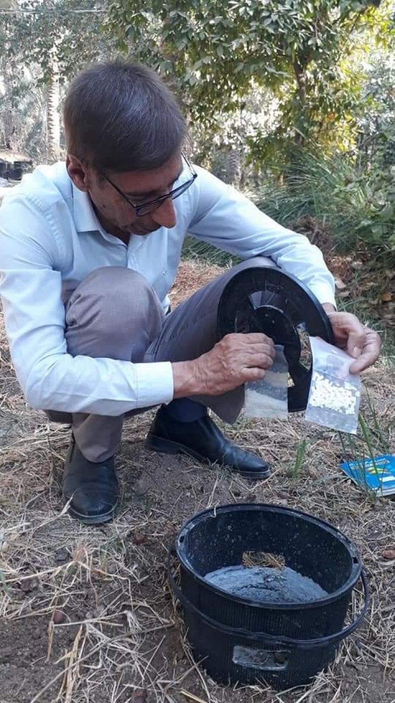 زراعة كربلاء تواصل عمليات التحري عن سوسة النخيل الحمراء