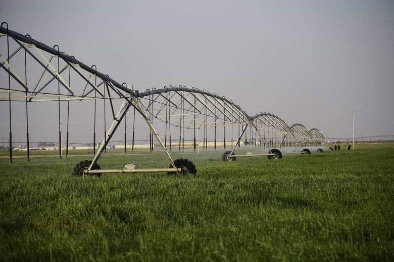 كربلاء تعمد الى التوسع في زراعة محصولي الحنطة والشعير للموسم الزراعي  2024_2025