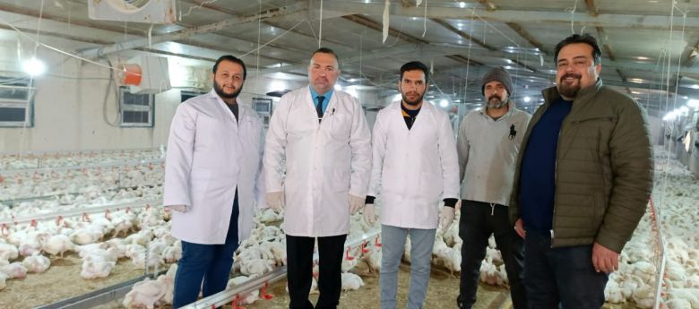 كربلاء تسجل قفزة نوعية في انتاج بيض المائدة والدواجن خلال شهر شباط