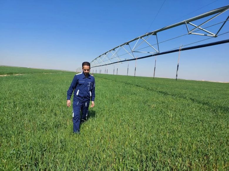 زراعة كربلاء تتابع الظروف المناخية وتأثيراتها على محصول الحنطة