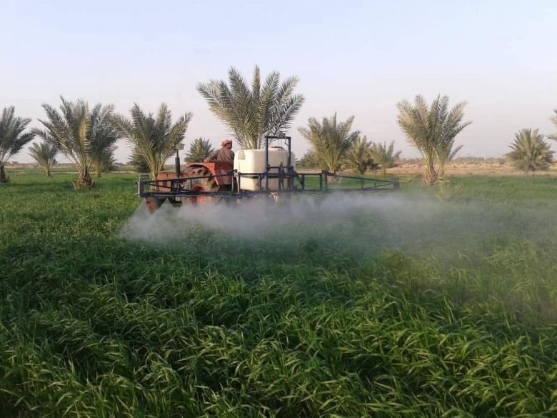 زراعة كربلاء تطلق حملة مجانية كبرى لمكافحة آفة زراعية تصيب محصول الحنطة