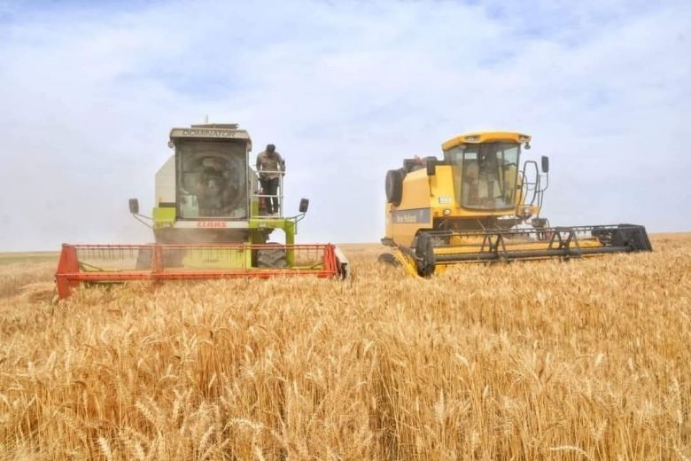 زراعة كربلاء توجه الفلاحين والمزارعين باتخاذ اجراءات وقائية لتجنب مخاطر  حريق محصول الحنطة للموسم الزراعي الحالي