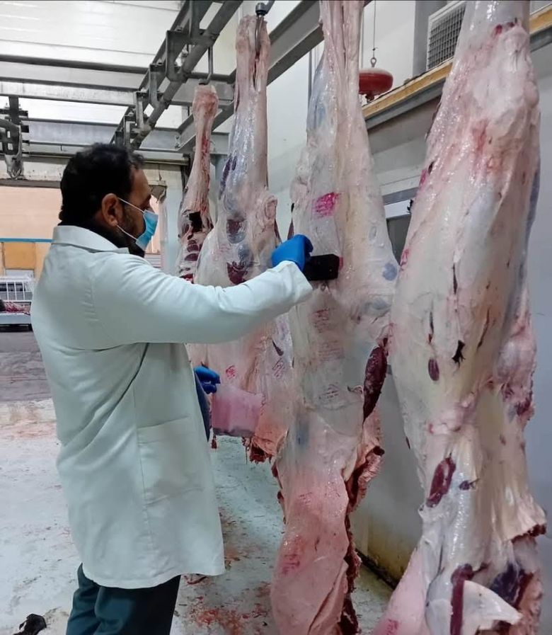 حملات رقابية مكثفة لمكافحة الجزر العشوائي وضمان جودة اللحوم في كربلاء