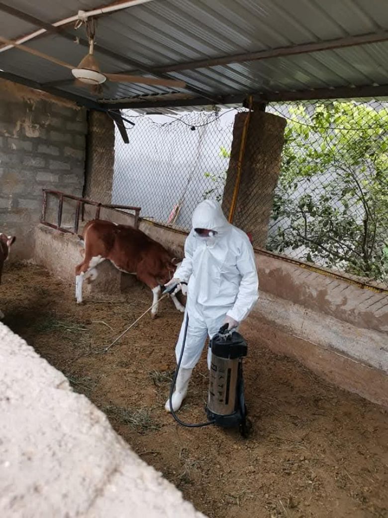 كيف نتجنب الاصابة بمرض الحمى النزفية؟.. صحة كربلاء تجيب