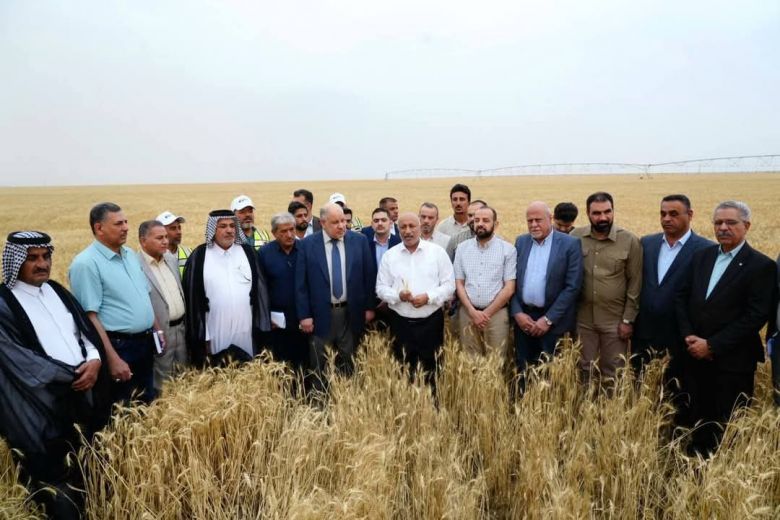 محافظ كربلاء يعلن بدء موسم الحصاد والتسويق لمحصول الحنطة