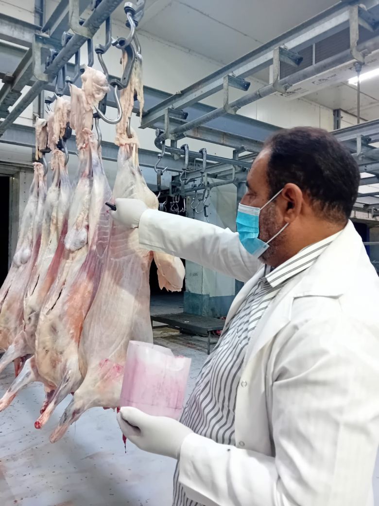 المستشفى البيطري يحقق نتائج نوعية في تنظيم عملية الذبح وتوفير اللحوم الآمنة للمواطنين في كربلاء