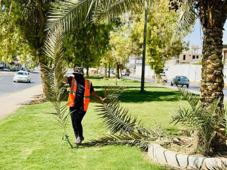 للحد من الانبعاثات الحرارية.. بلدية كربلاء تنفذ أعمال توسعة للمساحات الخضراء في عموم المحافظة