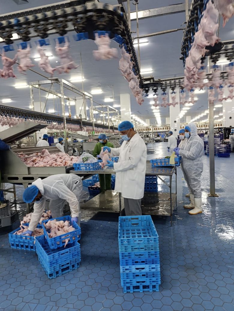 المستشفى البيطري تعلن عن مجمل نشاطها الرقابي لشهر تموز مؤكدة استمرار جهودها الرقابية في ايام الزيارة الأربعينة