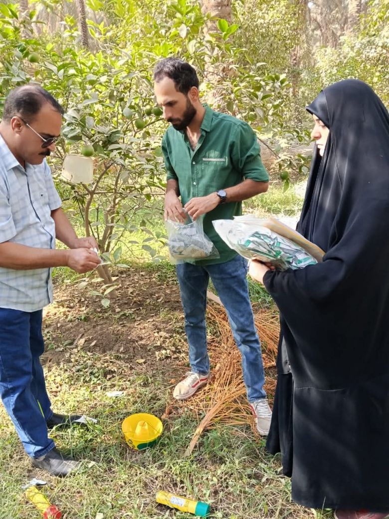 زراعة كربلاء المقدسة تواصل حملات المكافحة المجانية للآفات الزراعية