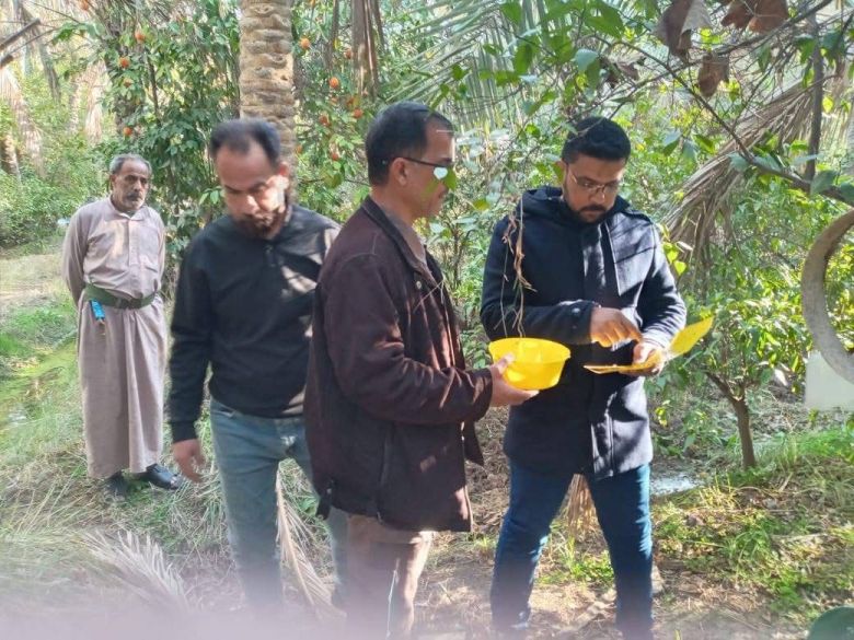 زراعة كربلاء تواصل حملاتها الوقائية لمكافحة ذبابتي الخوخ والفاكهة في بساتين الحمضيات