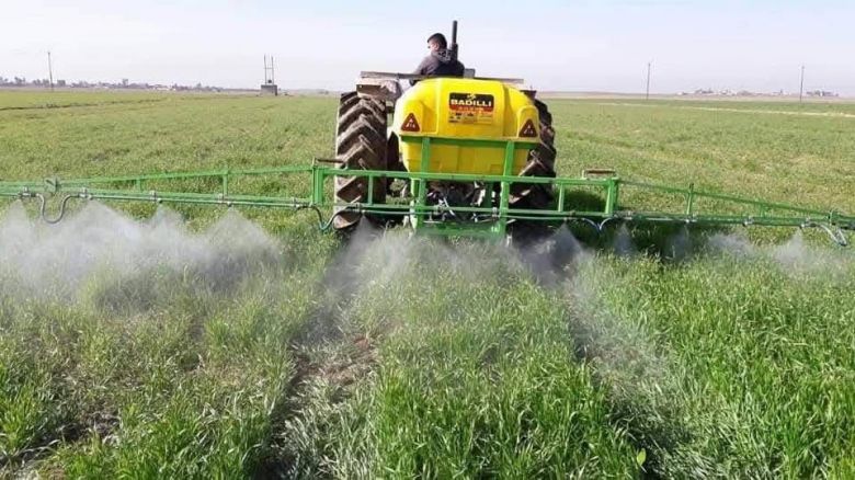 سنابل كربلاء تروي حكاية الاكتفاء والنجاح