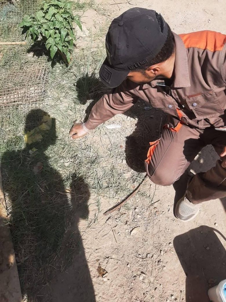 زراعة كربلاء تنفذ حملة مجانية لمكافحة القوارض في بساتين كربلاء المقدسة