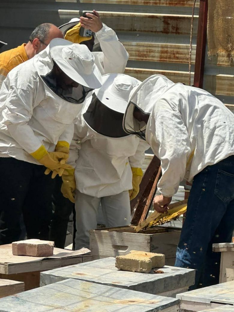 مركز متخصص بالعسل الطبيعي في كربلاء بطاقة إنتاجية وتسويقية تبلغ 12 طناً سنوياً