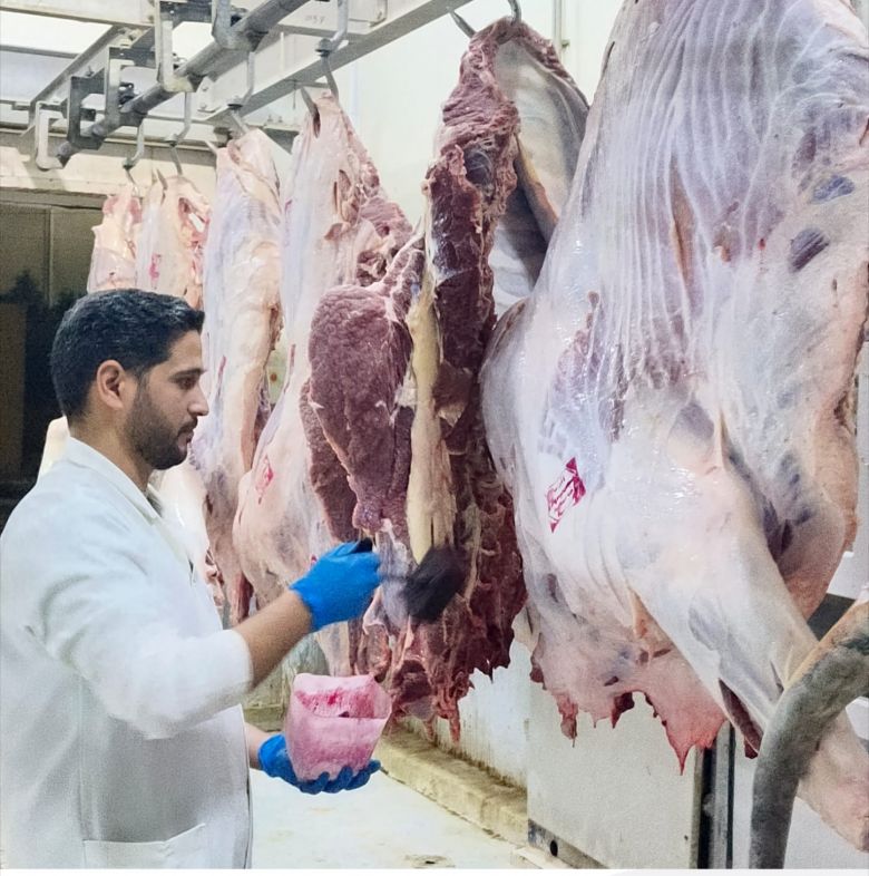 كربلاء تطلق مبادرة مجانية لجزر الأضاحي للحد من الجزر العشوائي خلال العيد