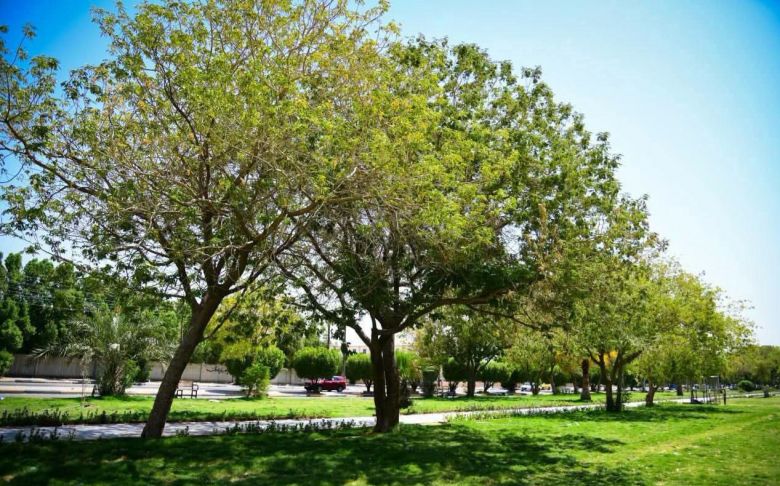 بتوجيه محافظ كربلاء.. حديقة حي الأسرة تستعيد رونقها بحلة خضراء